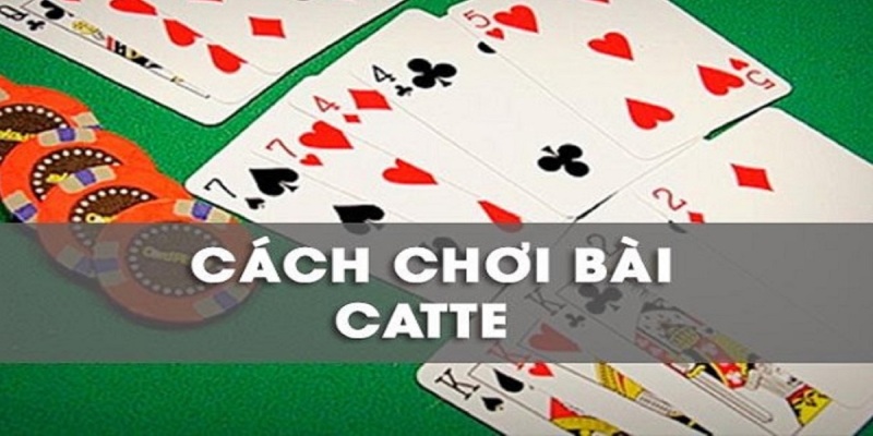 Tham khảo cách chơi bài catte cơ bản nhất cho người mới